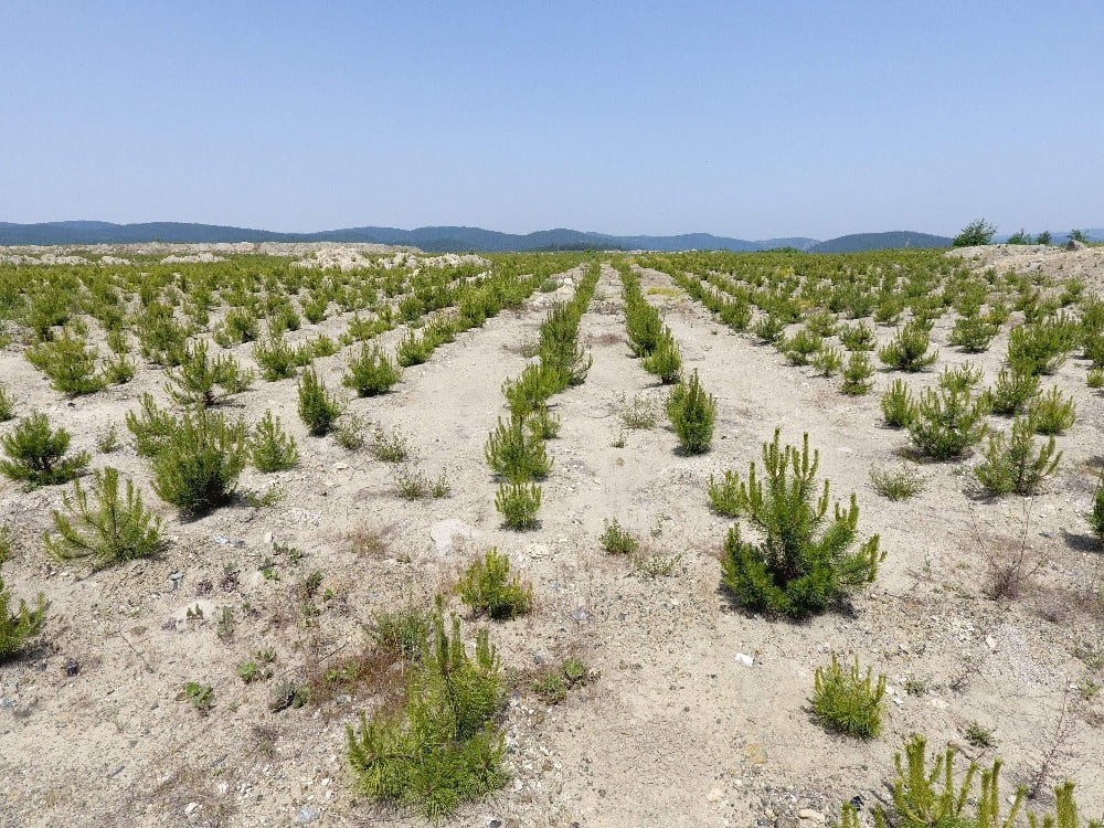 Türkiye’nin en büyüğü Bursa’da yükseliyor