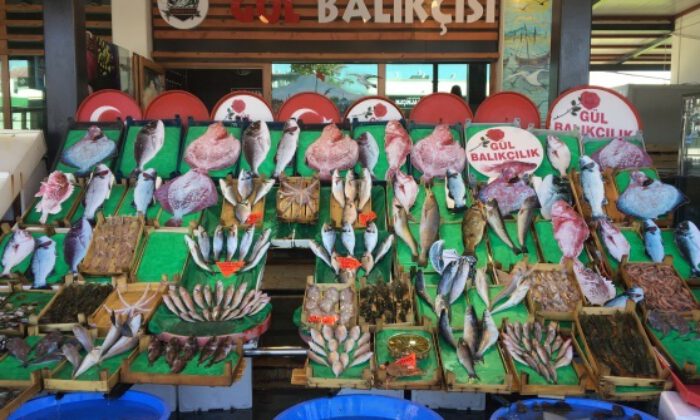 Balıkçılar “Vira bismillah” diyerek sezona başladı
