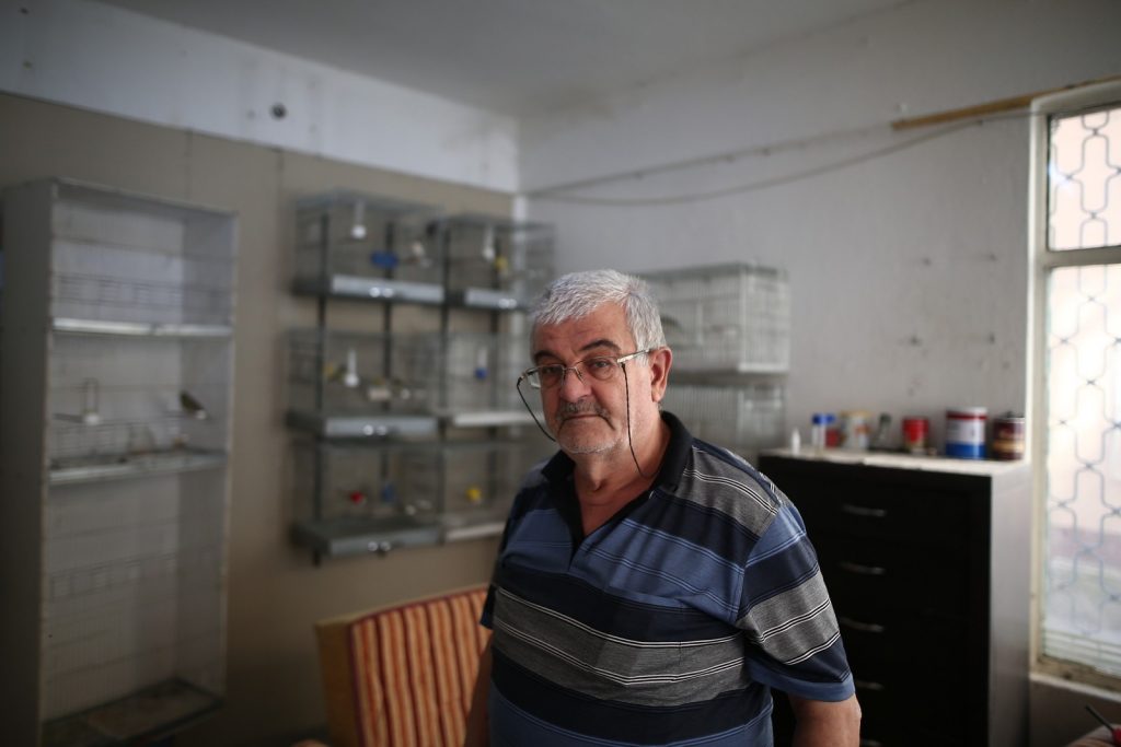 Onlarca kuş telef oldu