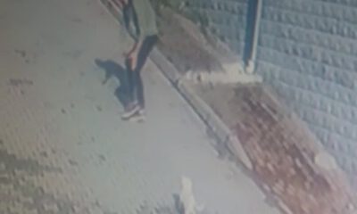 Köpeği önce sevdi sonra kaçırdı