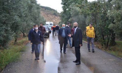 Gemlik Belediyesi bir kez daha zeytin üreticisinin yanında