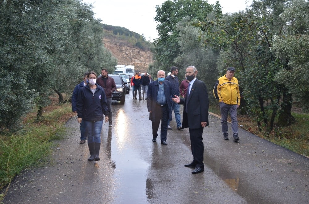 Gemlik Belediyesi bir kez daha zeytin üreticisinin yanında