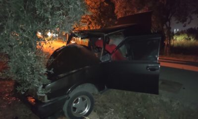 Otomobil zeytin ağacına çarptı: 1 ağır yaralı