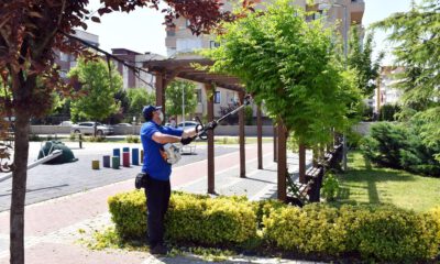 Park ve bahçelerde tedbir üst seviyede