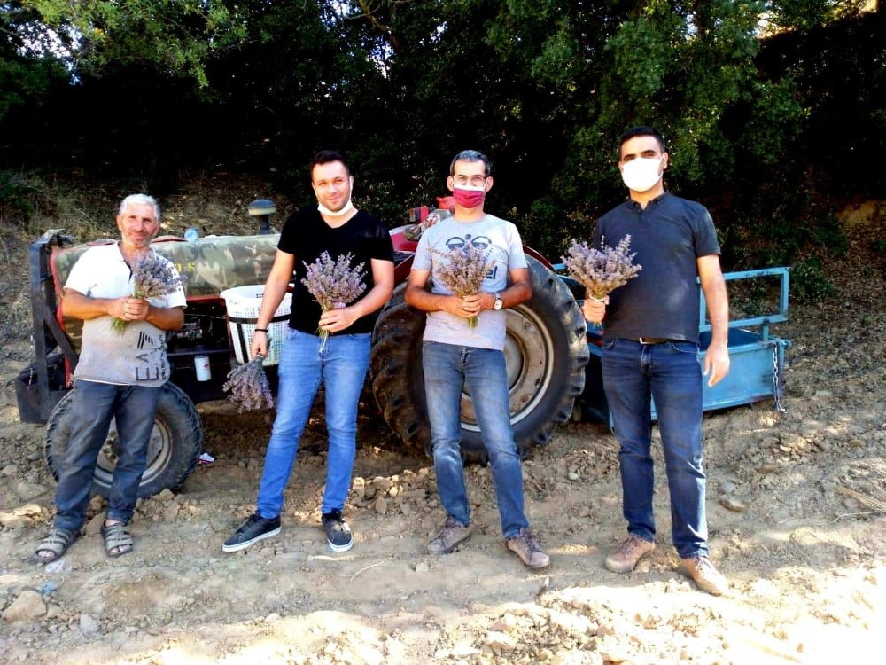 Sarıgöl’de lavanta yetiştiriciliği alternatif gelir oldu