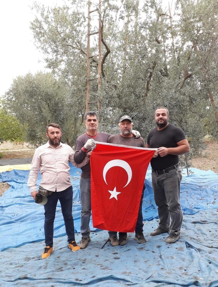 Zeytin hasadında Cumhuriyet Bayramı kutlaması