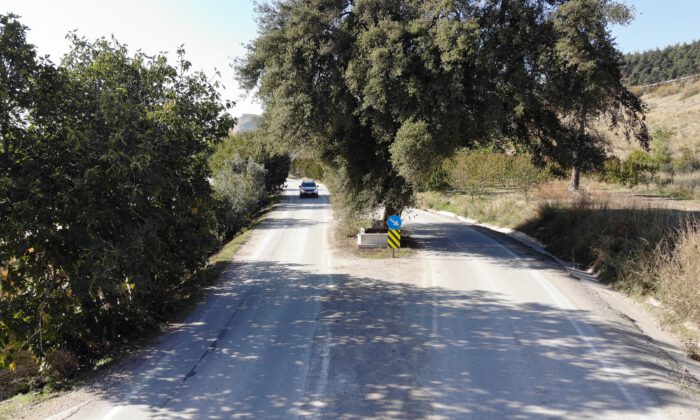 Ana yolda giderken bir anda karşılarına çıkıyor
