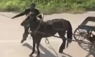 Bursa’da yükü çekmekte zorlanan ata eziyet