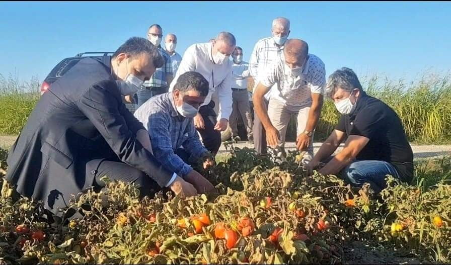 Esgin’den çifçiye ödeme müjdesi