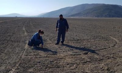 Isparta’da yerli tohum denemeleri