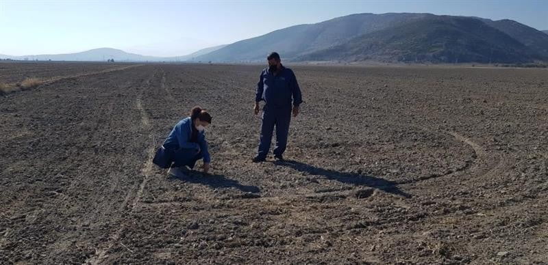 Isparta’da yerli tohum denemeleri