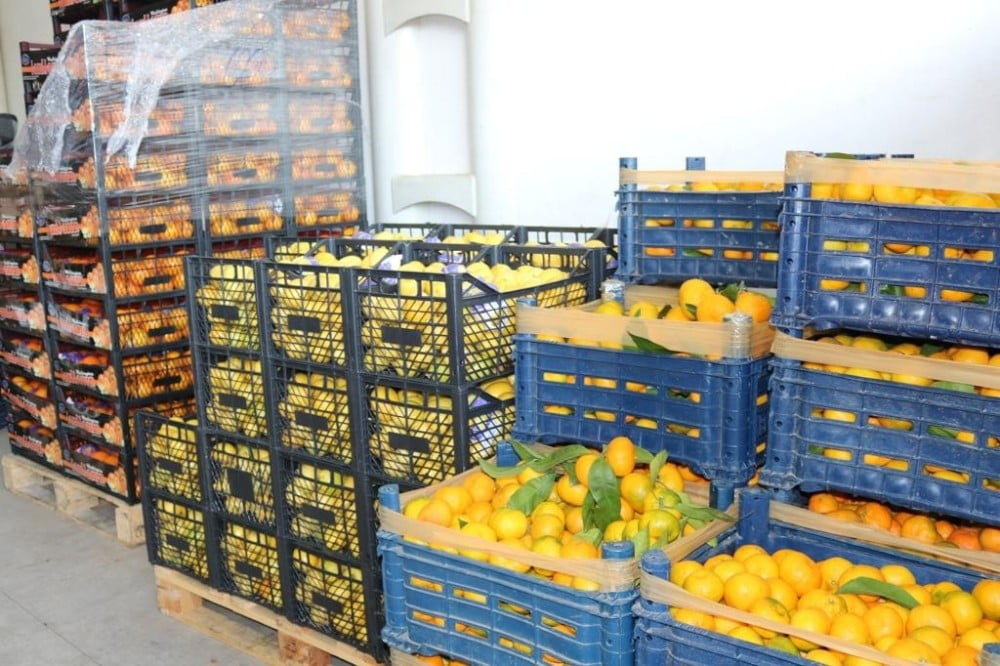 Koronaya karşı vitamin desteği