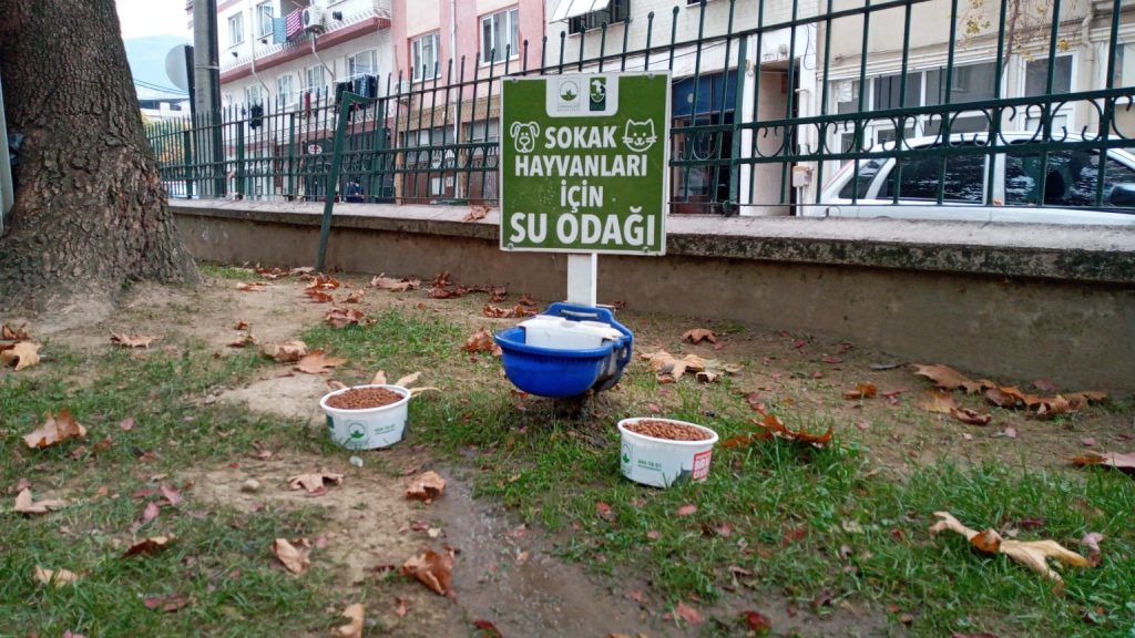 Sahipsiz Hayvanlara Beslenme Desteği