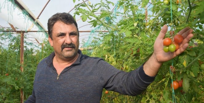 ‘Emeği biz veriyoruz parayı aracılar kazanıyor’