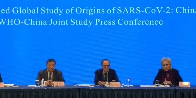 Dünya Sağlık Örgütü ekibi korona virüsün kökenini açıkladı