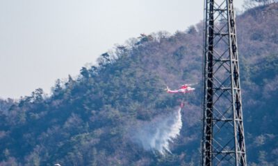 Japonya’daki orman yangını kontrol altına alındı