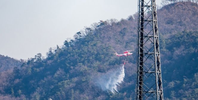 Japonya’daki orman yangını kontrol altına alındı