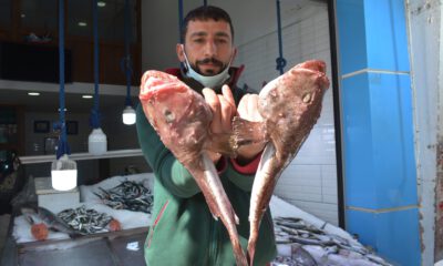 Görenleri hem korkuttu hem şaşırttı