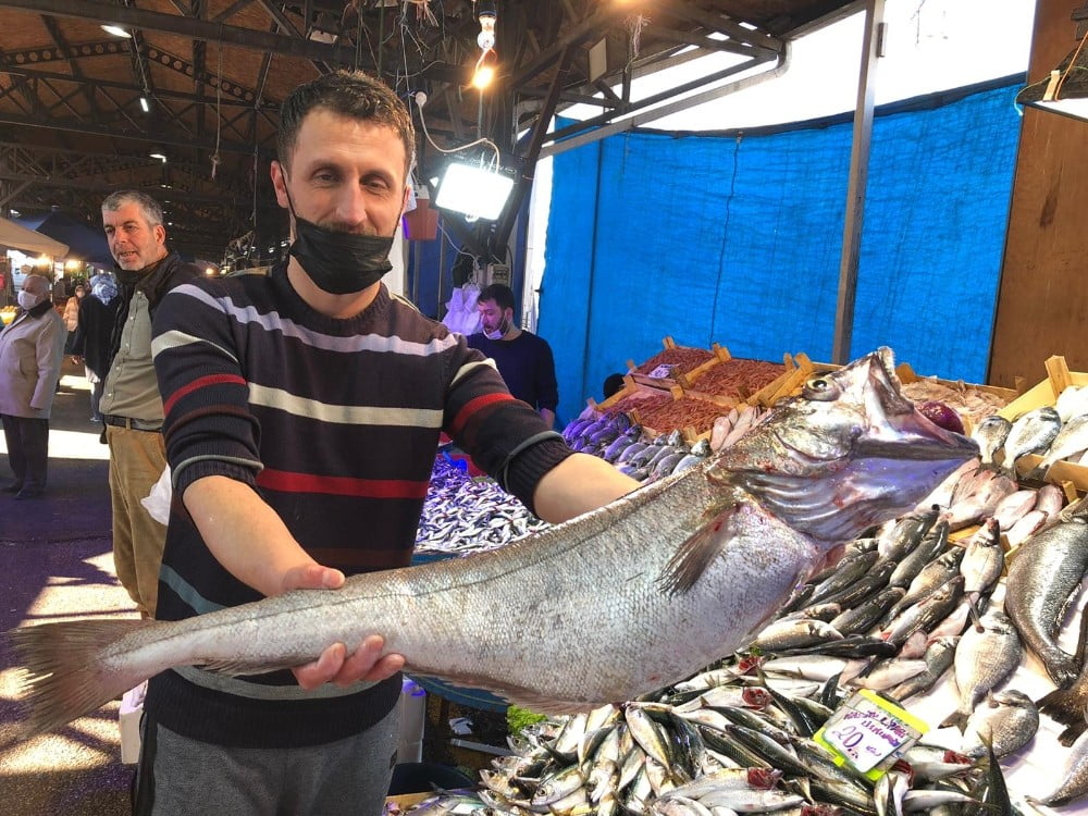 Bursa’da 6 kiloluk dev mezgidi görenler gözlerine inanamadı