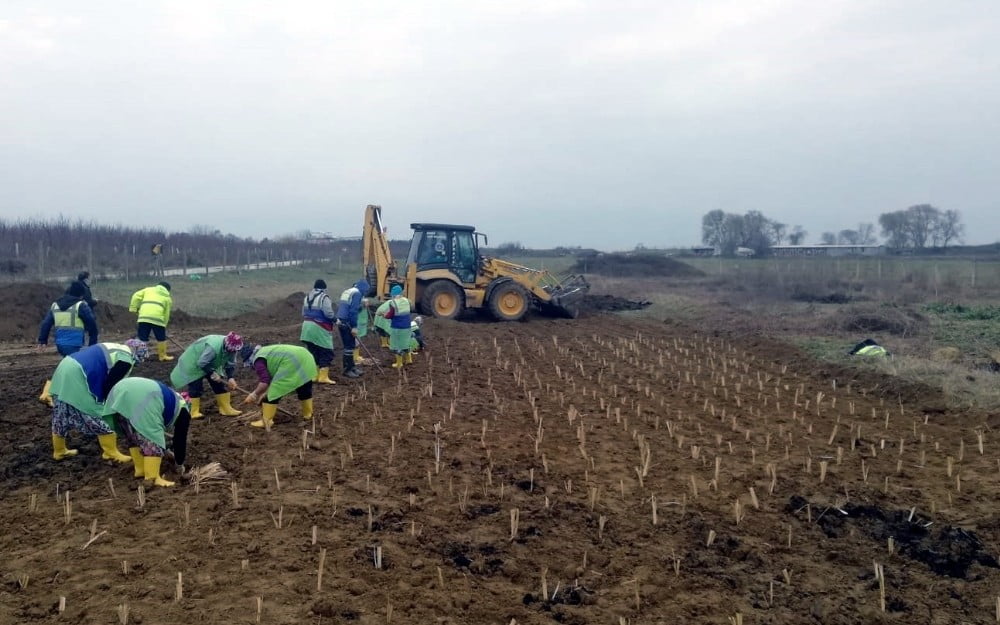 Bursa’da çevre korumada ‘bio-teknolojik’ hamle