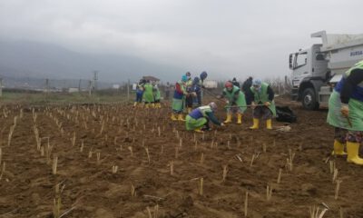 Bina ve çevre düzenleme inşaatı yaptırılacak