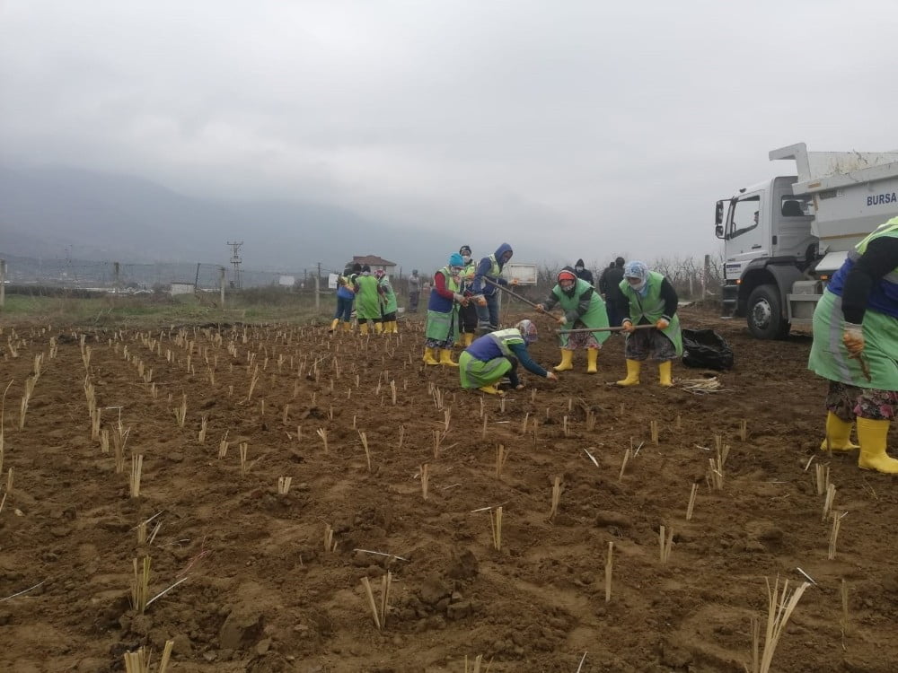 Bina ve çevre düzenleme inşaatı yaptırılacak