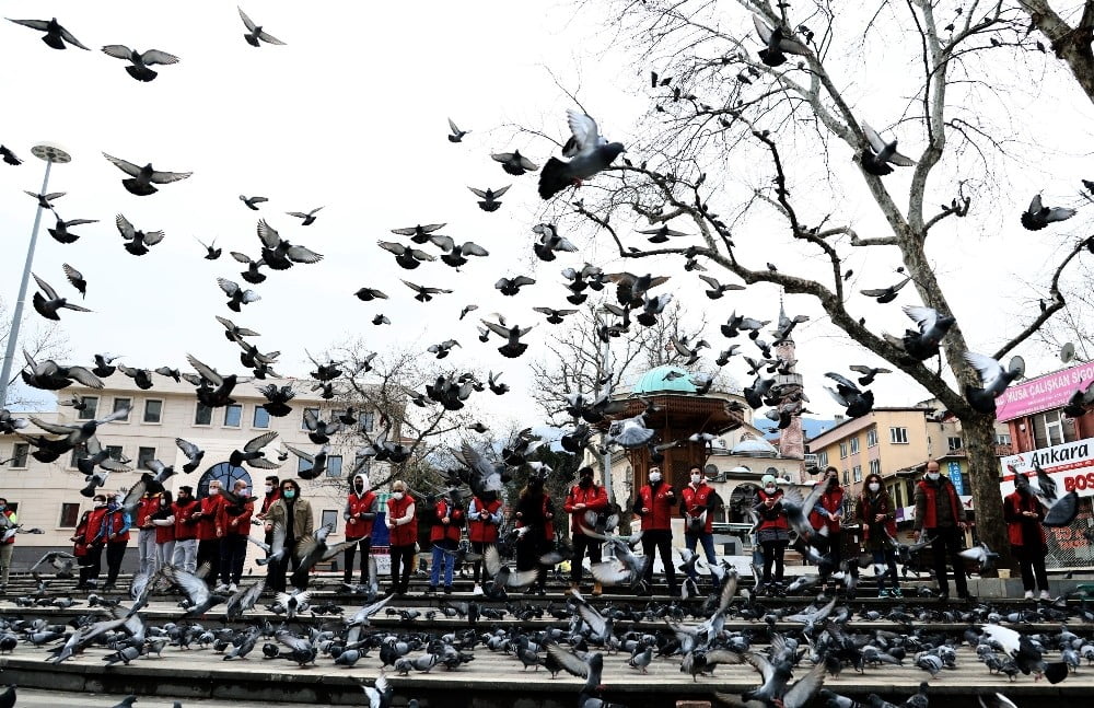 Hayvan Sevgi̇si̇ne Yasak Yok