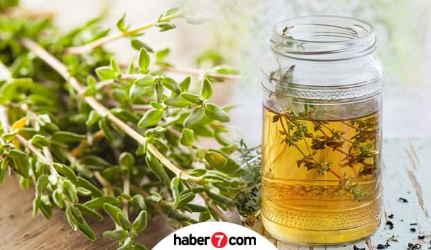 Kekik suyunun faydaları nelerdir?