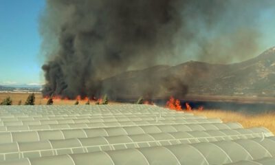 Antalya’da korkutan sazlık yangını