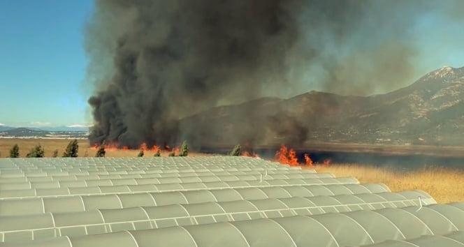 Antalya’da korkutan sazlık yangını