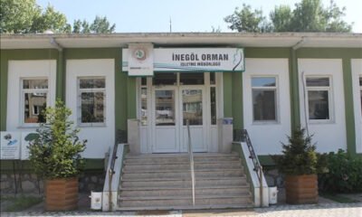 Danışmanlık hizmeti alınacak
