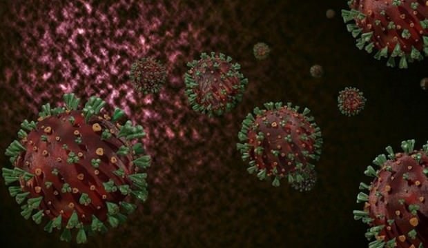 Yeni mutasyon keşfedildi!