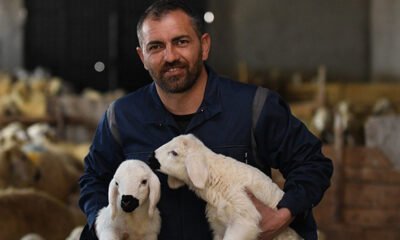 10 yıllık öğretmenliği bırakarak kuzularına geri döndü