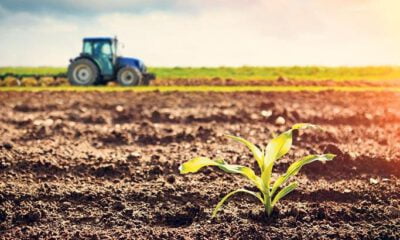 Harmancık’ta 20000 m² tarım arazisi icradan satılık