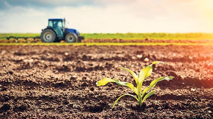 Harmancık’ta 20000 m² tarım arazisi icradan satılık