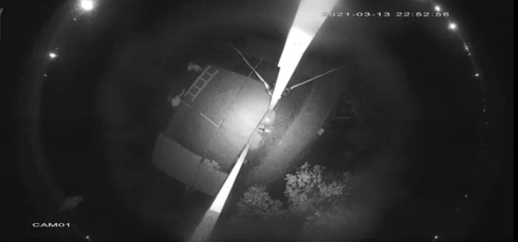 Tarla fareleri güvenlik kamerasına yakalandı!