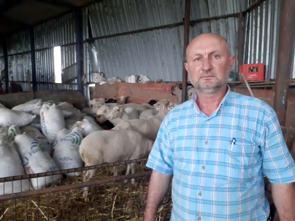 Yapağı fiyatları arttırılmazsa eylem yapacaklar