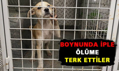 Bursa’da vahşet