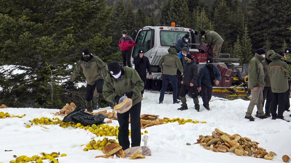 DOĞADAKİ DOSTLARIMIZ YALNIZ BIRAKILMADI