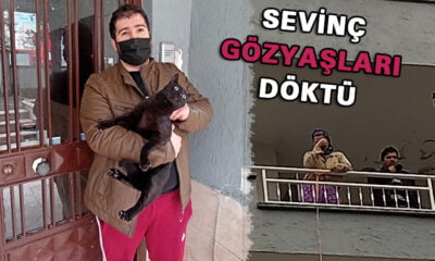 Yaramaz kedi itfaiye ekiplerini harekete geçirdi