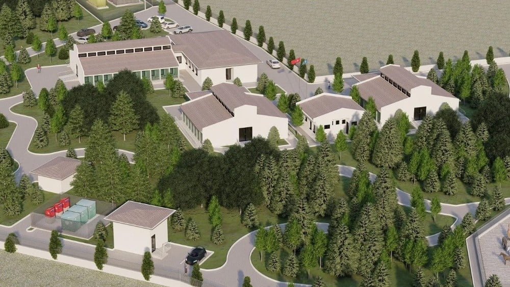 Sokak Hayvanları İçi̇n Güç Bi̇rli̇ği̇