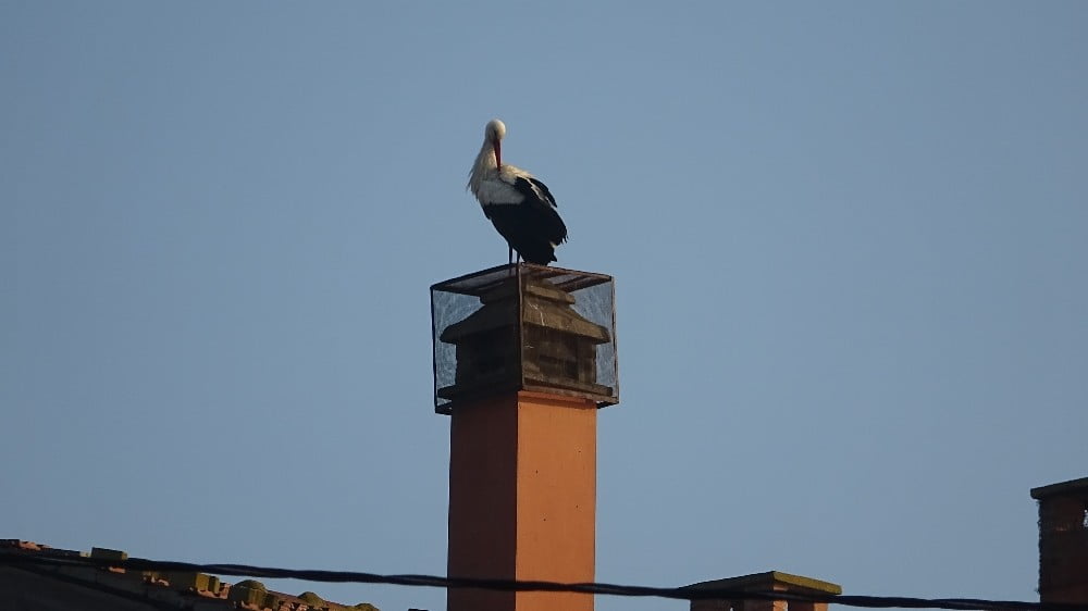 Yaren Leylek İle Adem Amca 10’uncu Kez Buluştu