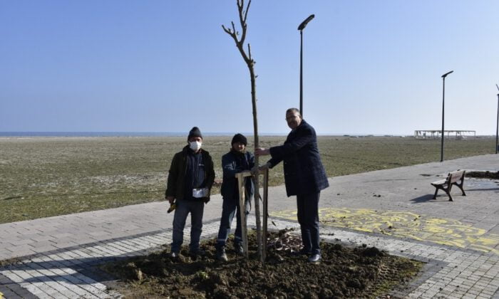 Yeni̇köy Sahi̇l Yoluna ‘Yeşi̇l Dokunuş’