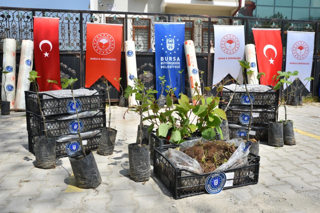 Büyükşehir ve HAGEL’den çiftçiye fidan desteği