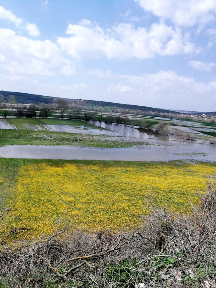 Mudanya’da tarım arazileri sular altında kaldı