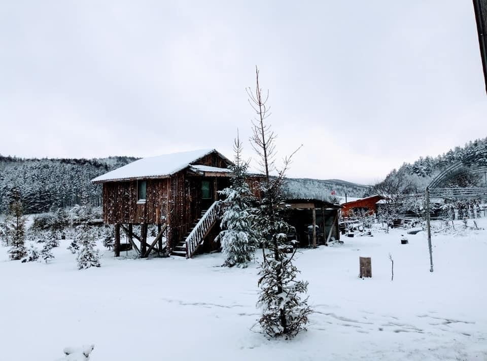 Nisan ayında kar sürprizi