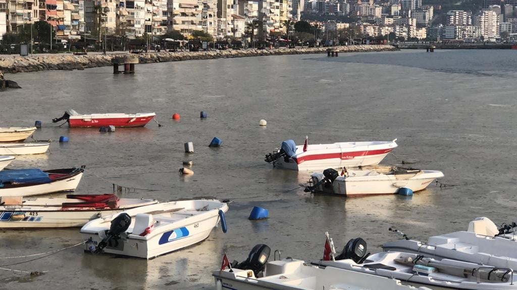 Gemlik Sahilini gören şaşkına dönüyor