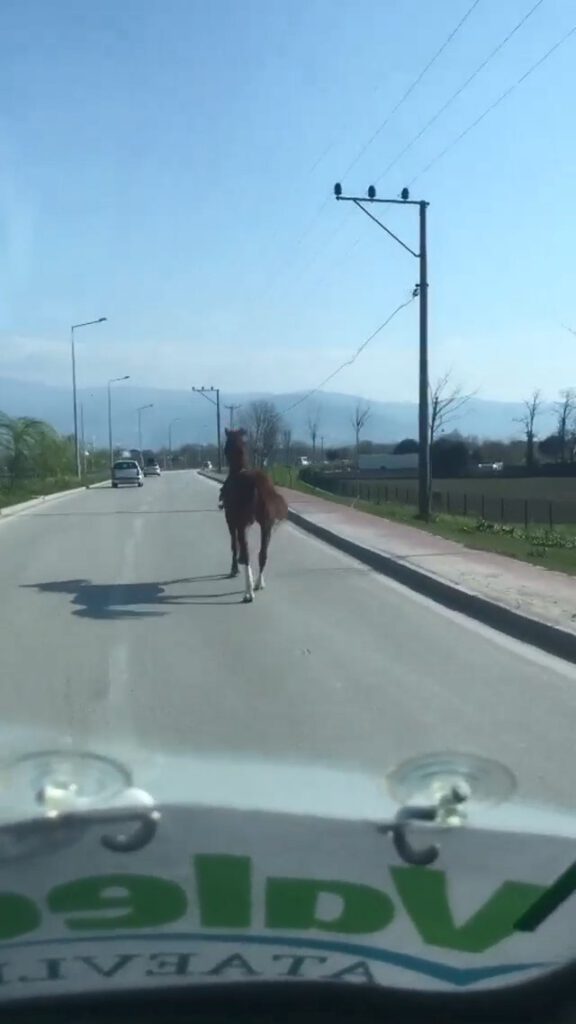Bursa trafiğinde dört nala koştu
