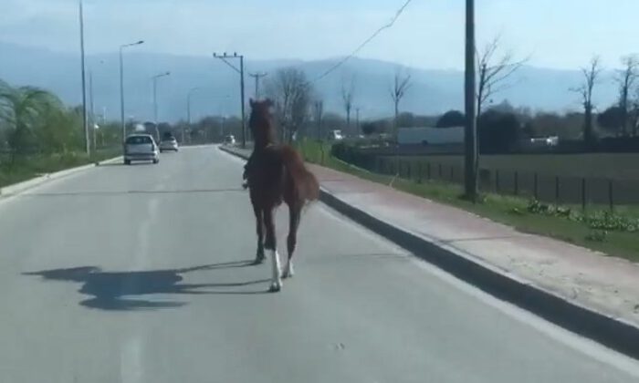 Bursa trafiğinde dört nala koştu