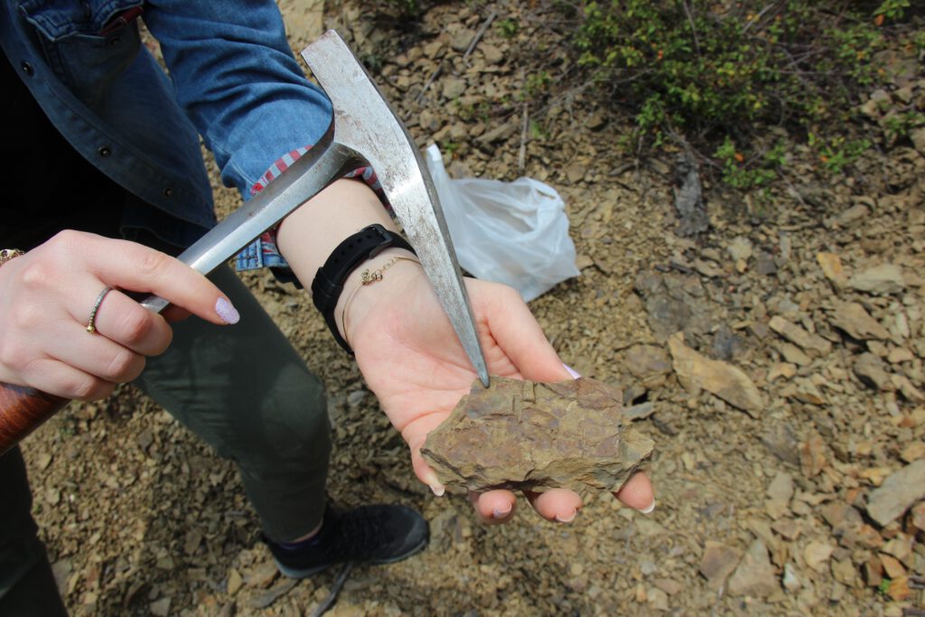 Bu bölgeye gidenler çıplak elle bile fosil buluyor